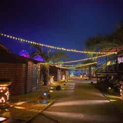 ロッジ風のキャビン客室/提供画像