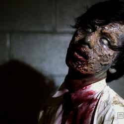 過去のゾンビイベントの様子/画像提供:SSS