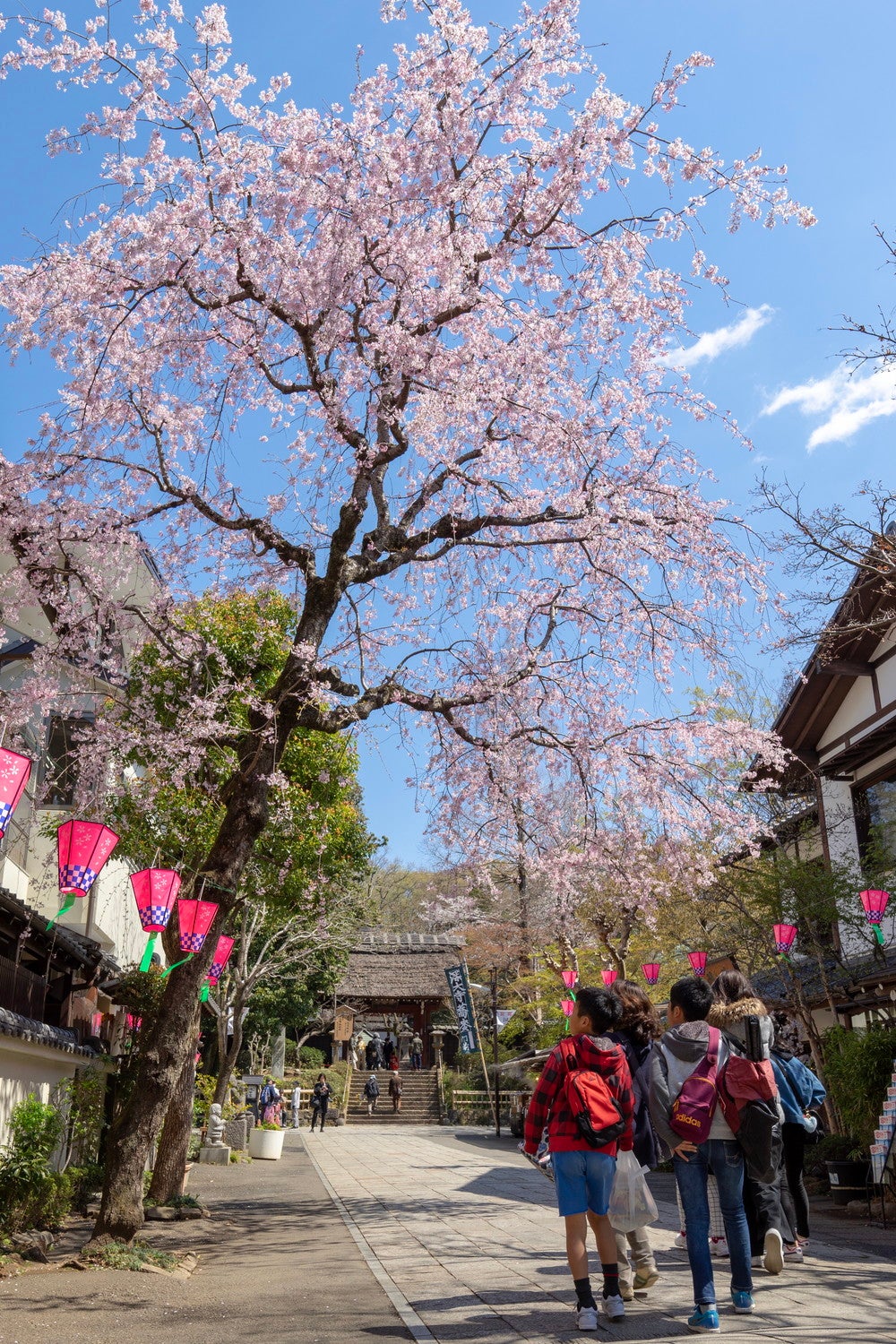 深大寺（提供画像）