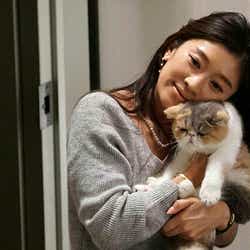 オトナ女子 愛猫 ちくわ ぶちゃかわで癒やされる 月9 5 9 キャストからも人気 モデルプレス