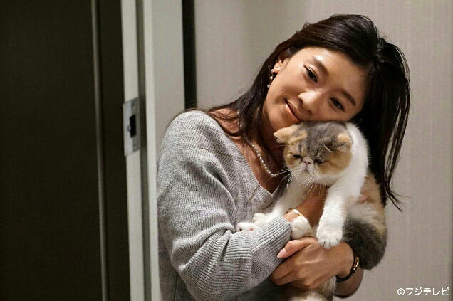 オトナ女子 愛猫 ちくわ ぶちゃかわで癒やされる 月9 5 9 キャストからも人気 モデルプレス オトナ女子 愛猫 ちくわ ぶちゃかわで癒やされる 月9 5 9 キャストからも人気 モデルプレス