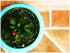 舞川あいく作品