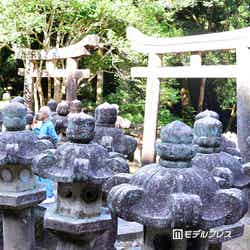 東光寺(C)モデルプレス
