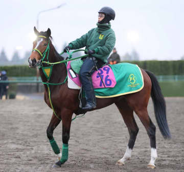 【フェアリーS】ファンクション 秘める能力は折り紙付き 斎藤誠師は牝馬クラシック見据える「今回が試金石に」