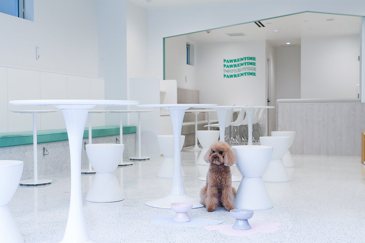 Dog Cafe Pawrentime（提供画像）