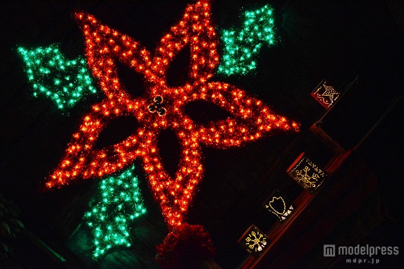 「フィエスタ・デ・ラ・ルース」（夜）