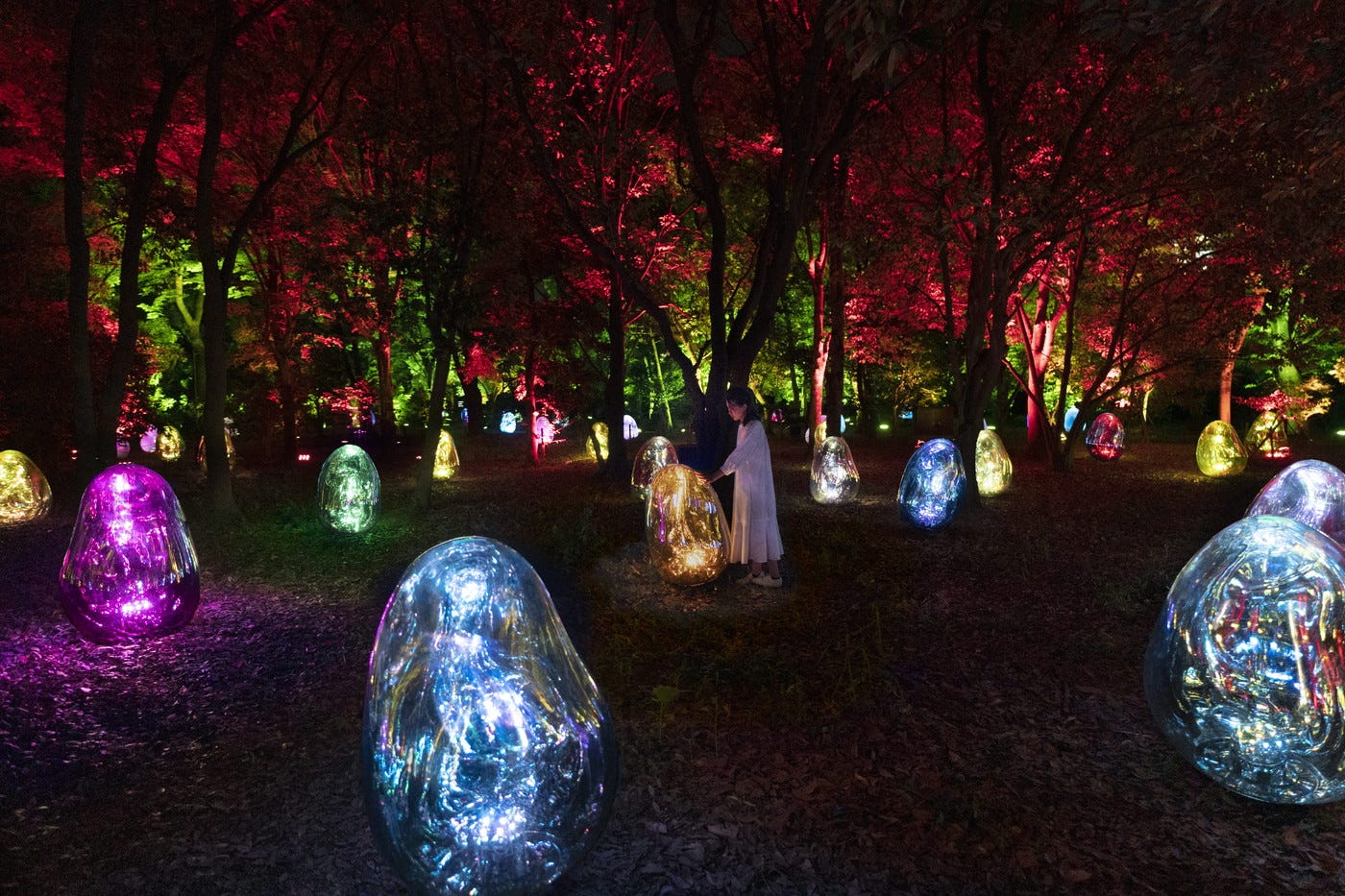 大阪に「チームラボ ボタニカルガーデン」夜の長居植物園が光のアート空間に様変わり