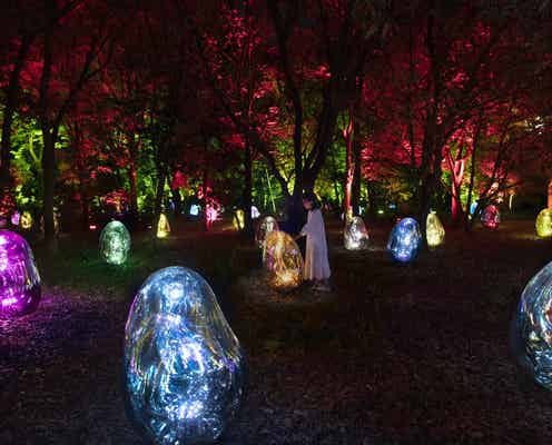 大阪に「チームラボ ボタニカルガーデン」夜の長居植物園が光のアート空間に様変わり