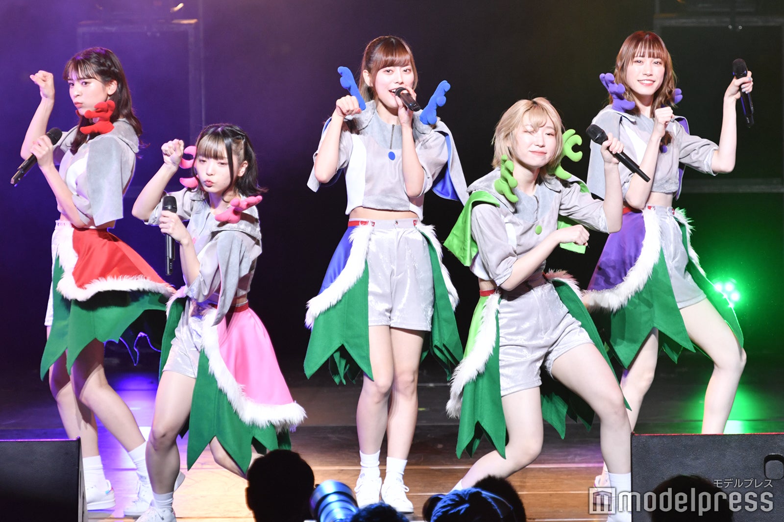 豆柴の大群（C）モデルプレス