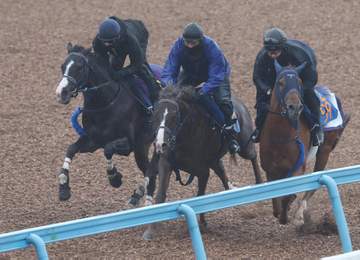 【クイーンエリザベス2世C】マスカレードボールが帰厩後初時計 手塚久師「動きもいい」