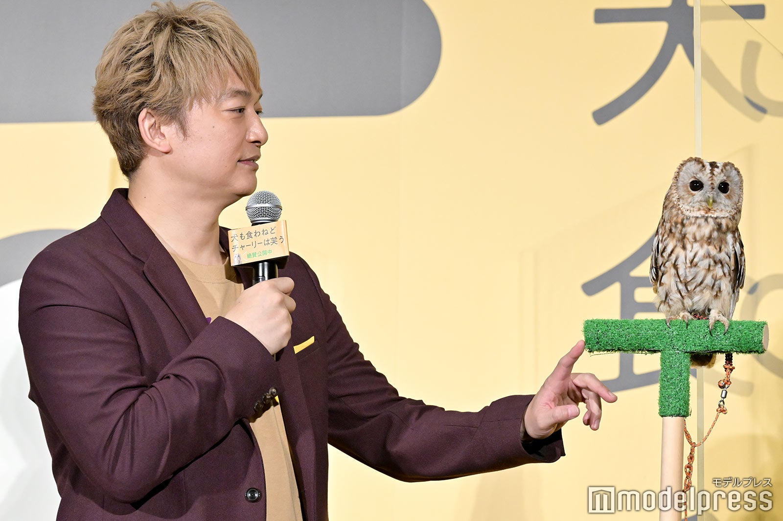 香取慎吾 （C）モデルプレス