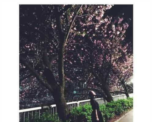 武井咲、夜桜ショットにファン歓喜「撮影者は旦那さん?」の声続出 今日一番読まれたニュースランキング【エンタメTOP5】