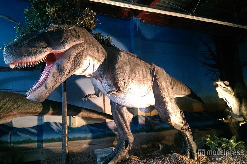 原寸大ティラノサウルスにも会える「ダイナソー」／画像提供：TKファクトリー【モデルプレス】
