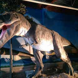 原寸大ティラノサウルスにも会える「ダイナソー」/画像提供:TKファクトリー【モデルプレス】