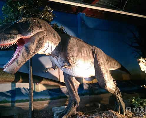 恐竜に乗れる酒場で太古の時代へタイムスリップ?