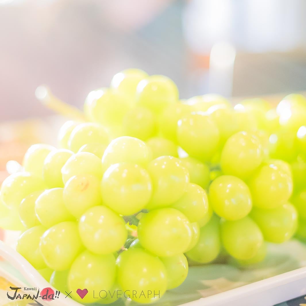 シャインマスカット（写真提供：MBS）