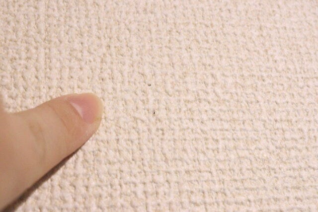 ピン式フローリングワイパーホルダー　ピン穴