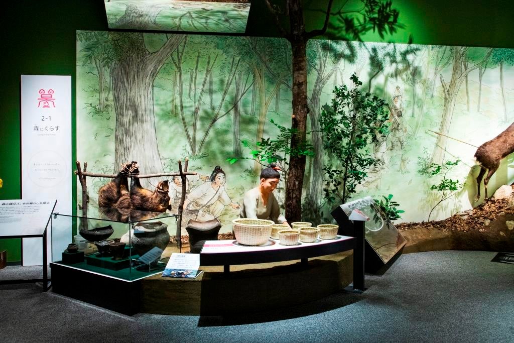 森のジオラマ／画像提供：滋賀県立琵琶湖博物館