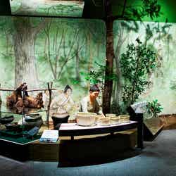 森のジオラマ/画像提供:滋賀県立琵琶湖博物館