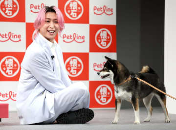 Snow Man佐久間大介 CM共演の柴犬登場で超ハイテンション→ステージに寝そべって同じ目線でじゃれ合う→プライベートでは自宅に愛猫