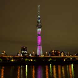東京スカイツリーが一夜限定でピンク色に　特別ライティングで輝き放つ（C）TOKYO-SKYTREE