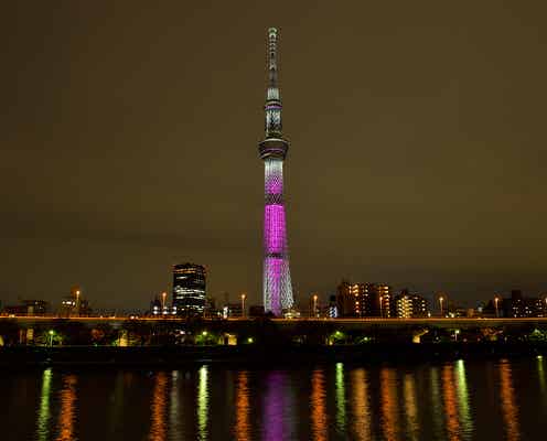 東京スカイツリーが一夜限定でピンク色に 特別ライティングで輝き放つ