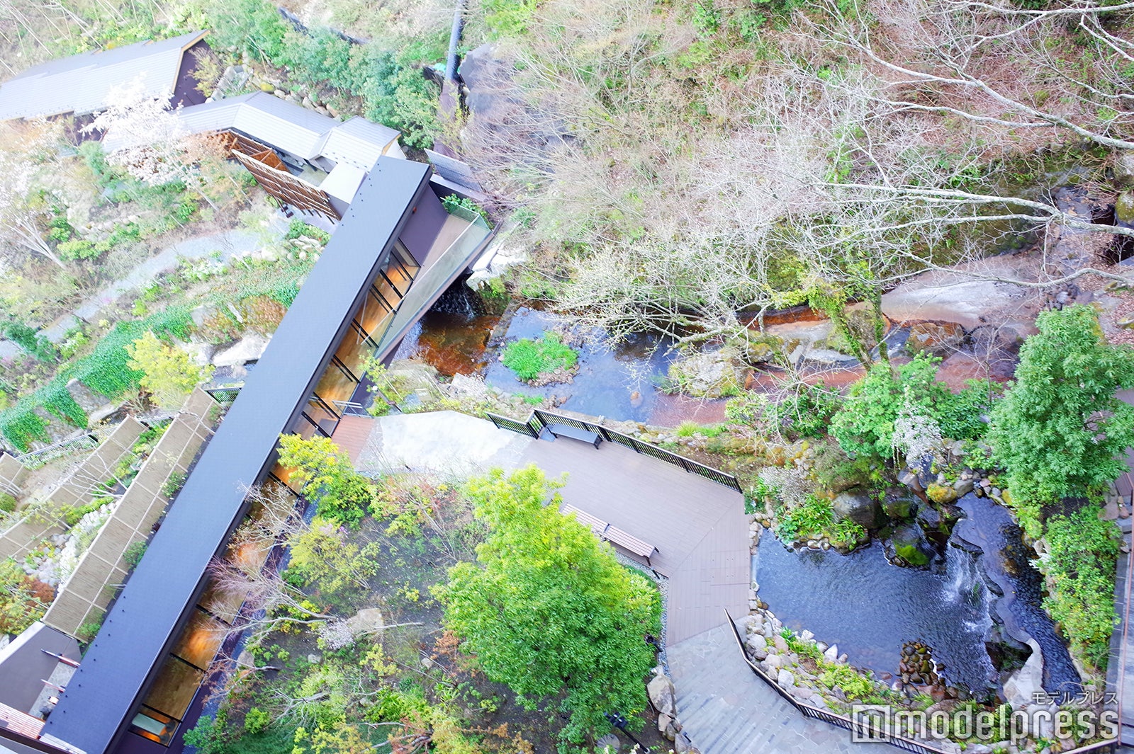 渓谷庭園（C）モデルプレス