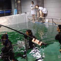 初めて水中でジャケット撮影した乃木坂46