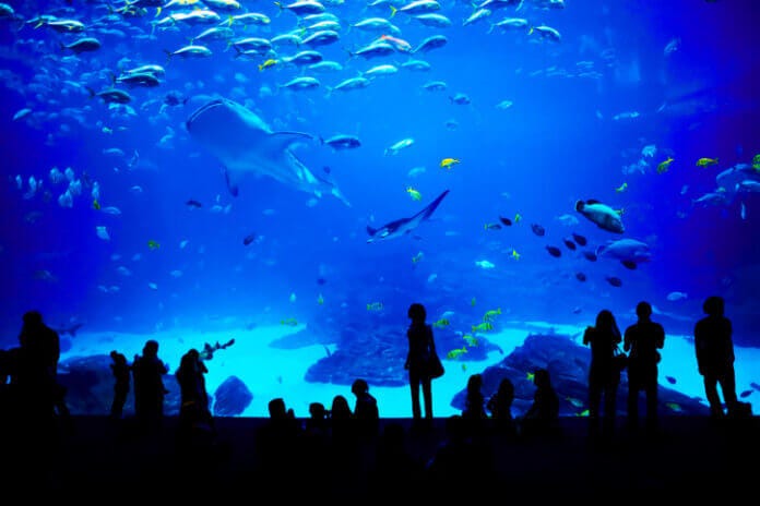 ③水族館