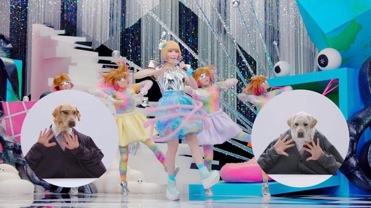 きゃりーぱみゅぱみゅが ニッシンボー 中田ヤスタカプロデュースver を歌う 新cmでお馴染みの犬と共演 モデルプレス きゃりーぱみゅぱみゅが ニッシンボー 中田ヤスタカプロデュースver を歌う 新cmでお馴染みの犬と共演 モデルプレス