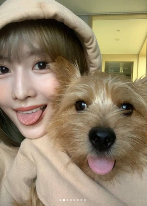 TWICEモモ、愛犬との“顔そっくり”ショット公開に「可愛すぎる」「本当にそっくり」の声