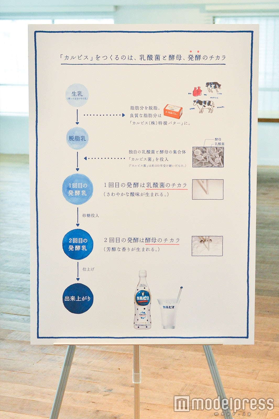 発酵の仕組みも解説（C）モデルプレス