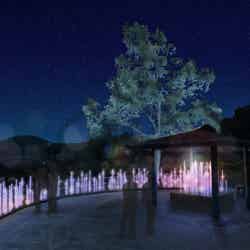 ライトアップの様子/提供画像