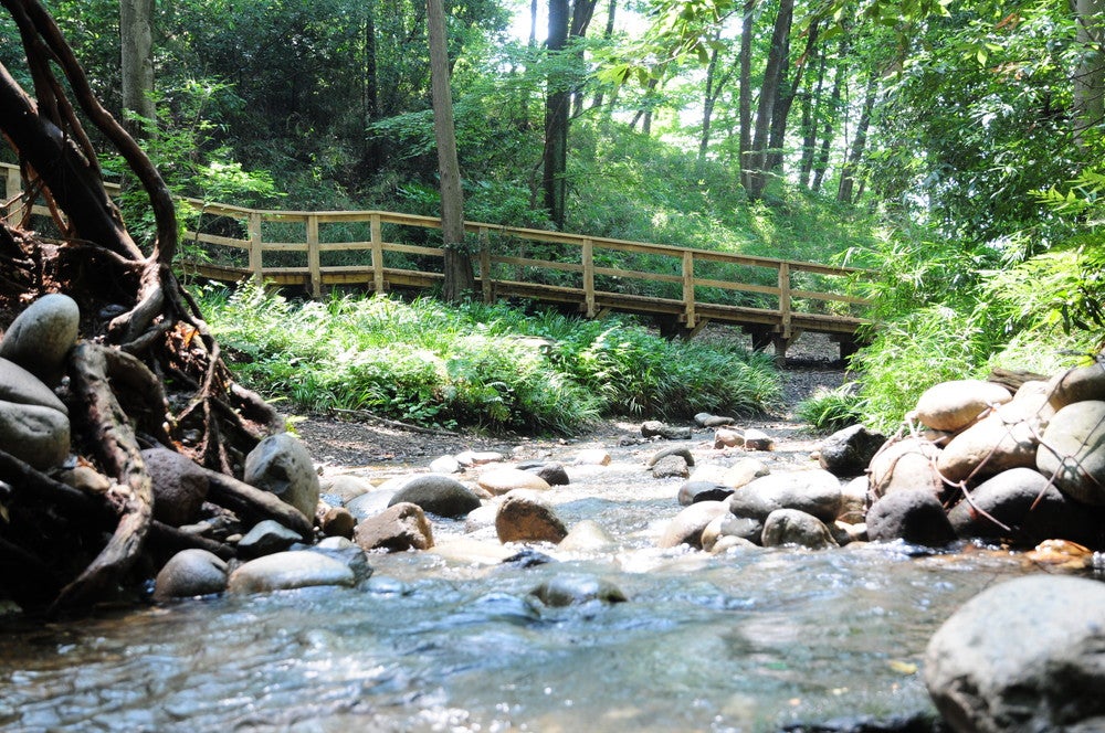 妙音沢（提供画像）