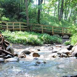 妙音沢(提供画像)