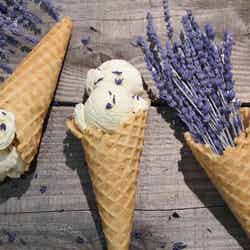 新フレーバー:ラベンダーアイスクリーム/画像提供:マッシュホールディングス
