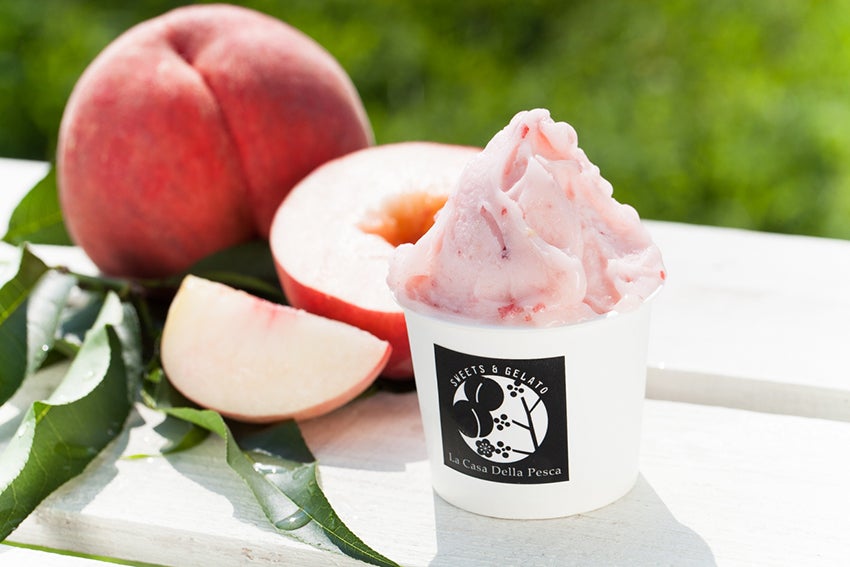 【2019年版】GWに行きたい！東京近郊フードフェス10選