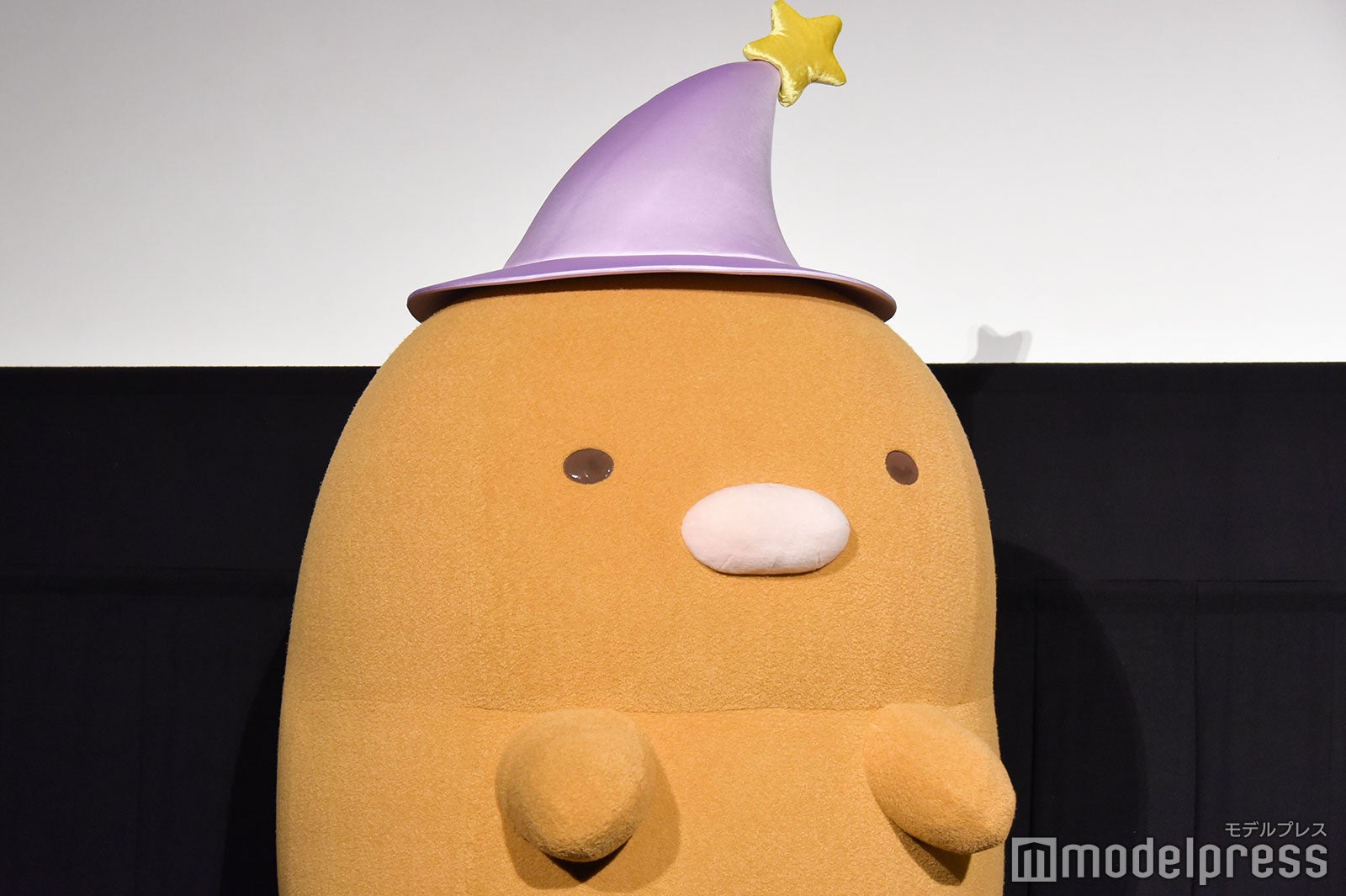 とんかつ （C）モデルプレス