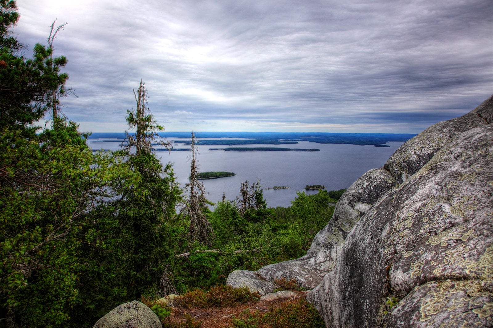 コリの風景／画像提供：Visit Finland（フィンランド政府観光局）