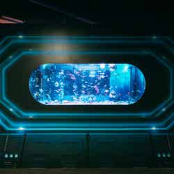 UNDER WATER SPACE/画像提供:UWS ENTERTAINMENT