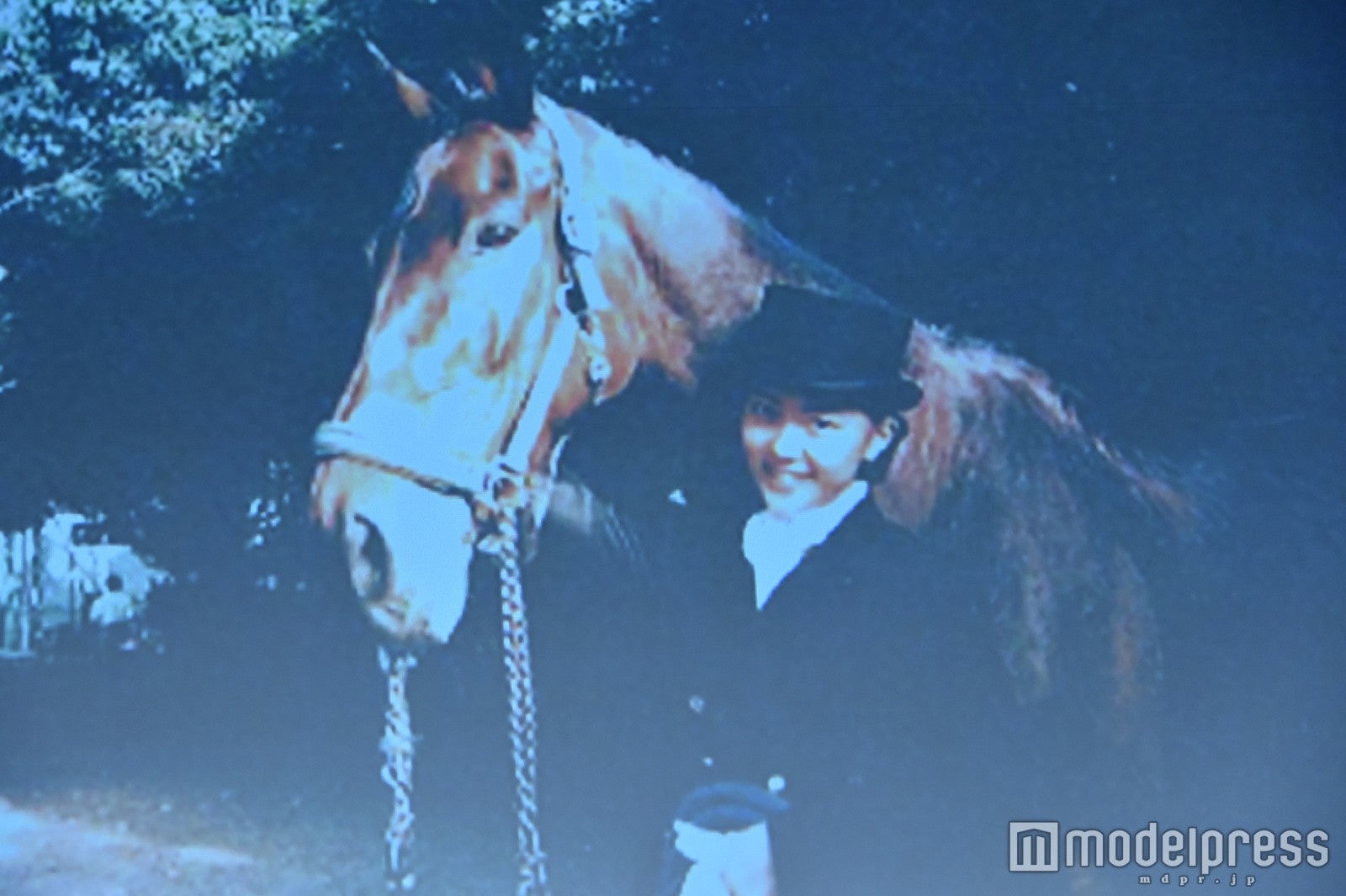 木村佳乃、馬術部当時の写真を公開「本当に馬が恋人でした」（C）モデルプレス