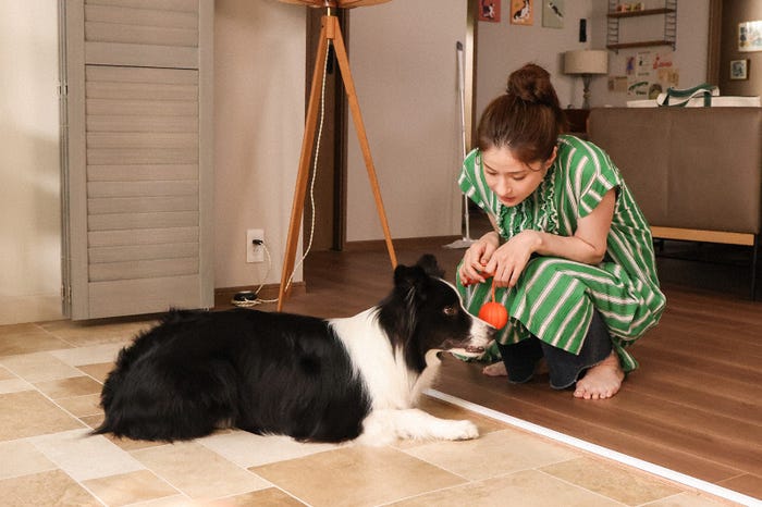 松本若菜「西園寺さんは家事をしない」第1話より(C)TBS