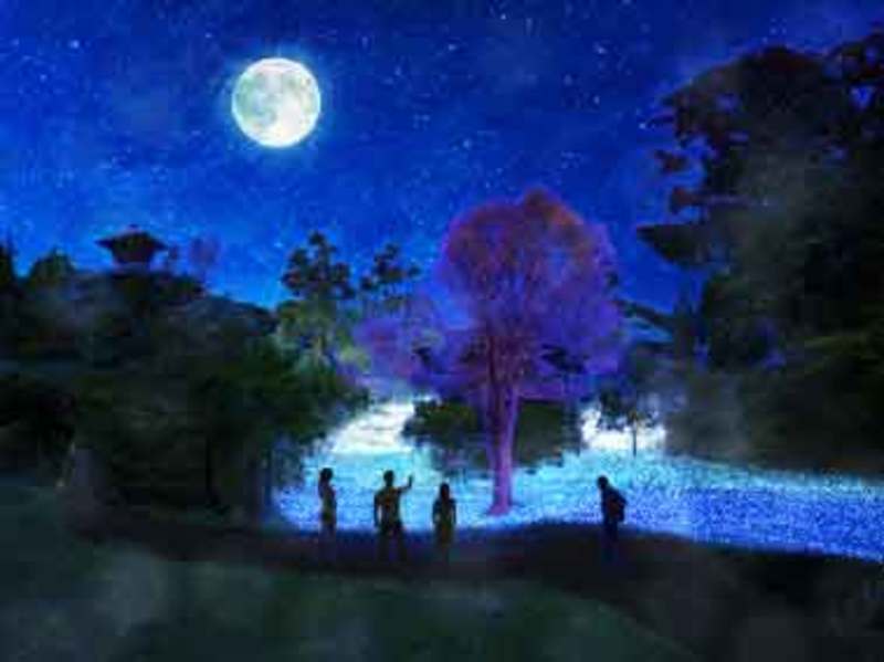 ライティングフィールド／画像提供：カトープレジャーグループ