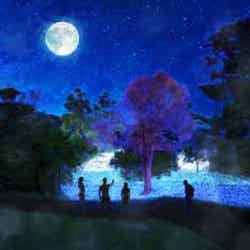 ライティングフィールド/画像提供:カトープレジャーグループ