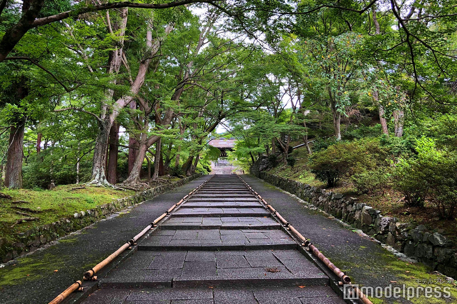 毘沙門堂（C）モデルプレス