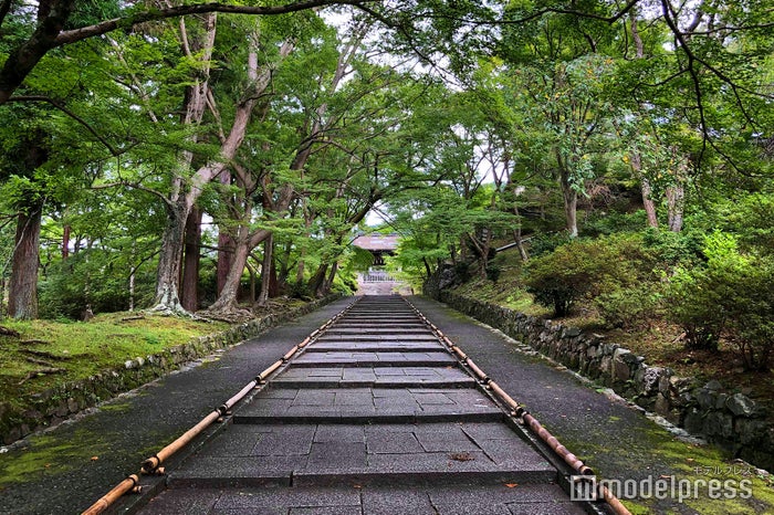 毘沙門堂（C）ビューティーガール