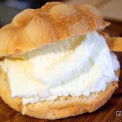 「世界で2番めにおいしい焼きたてメロンパンアイス」の「メロンパンアイス」【モデルプレス】