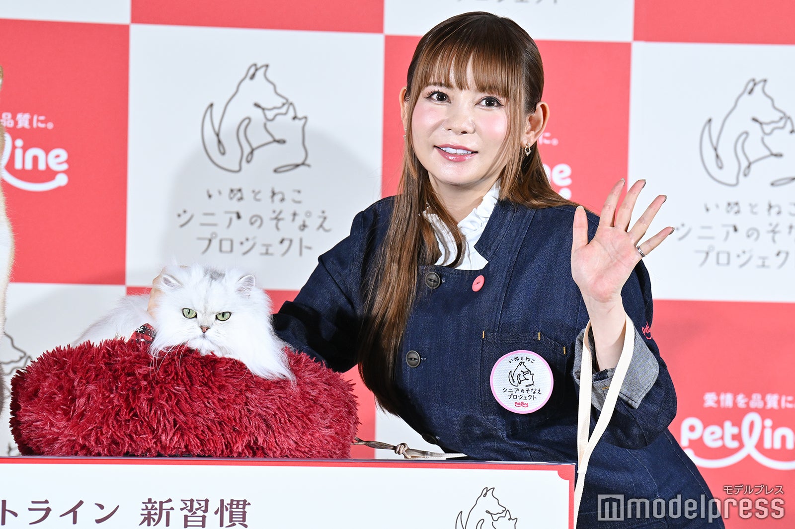 中川翔子（C）モデルプレス