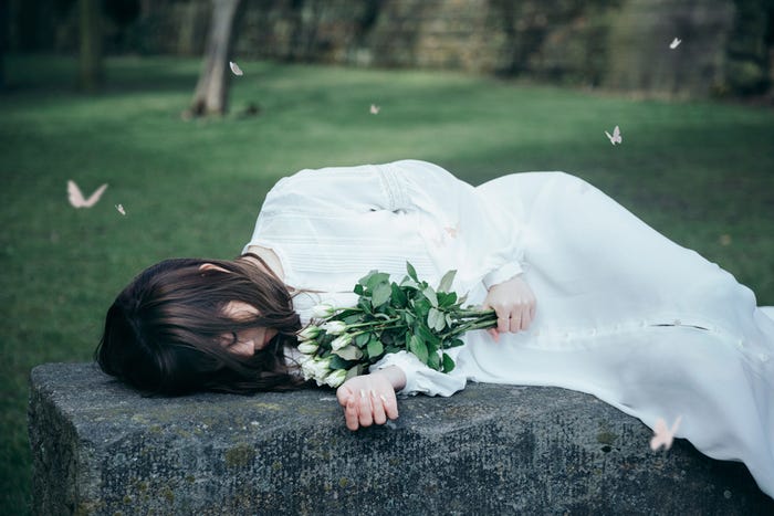 Aimer(提供写真)