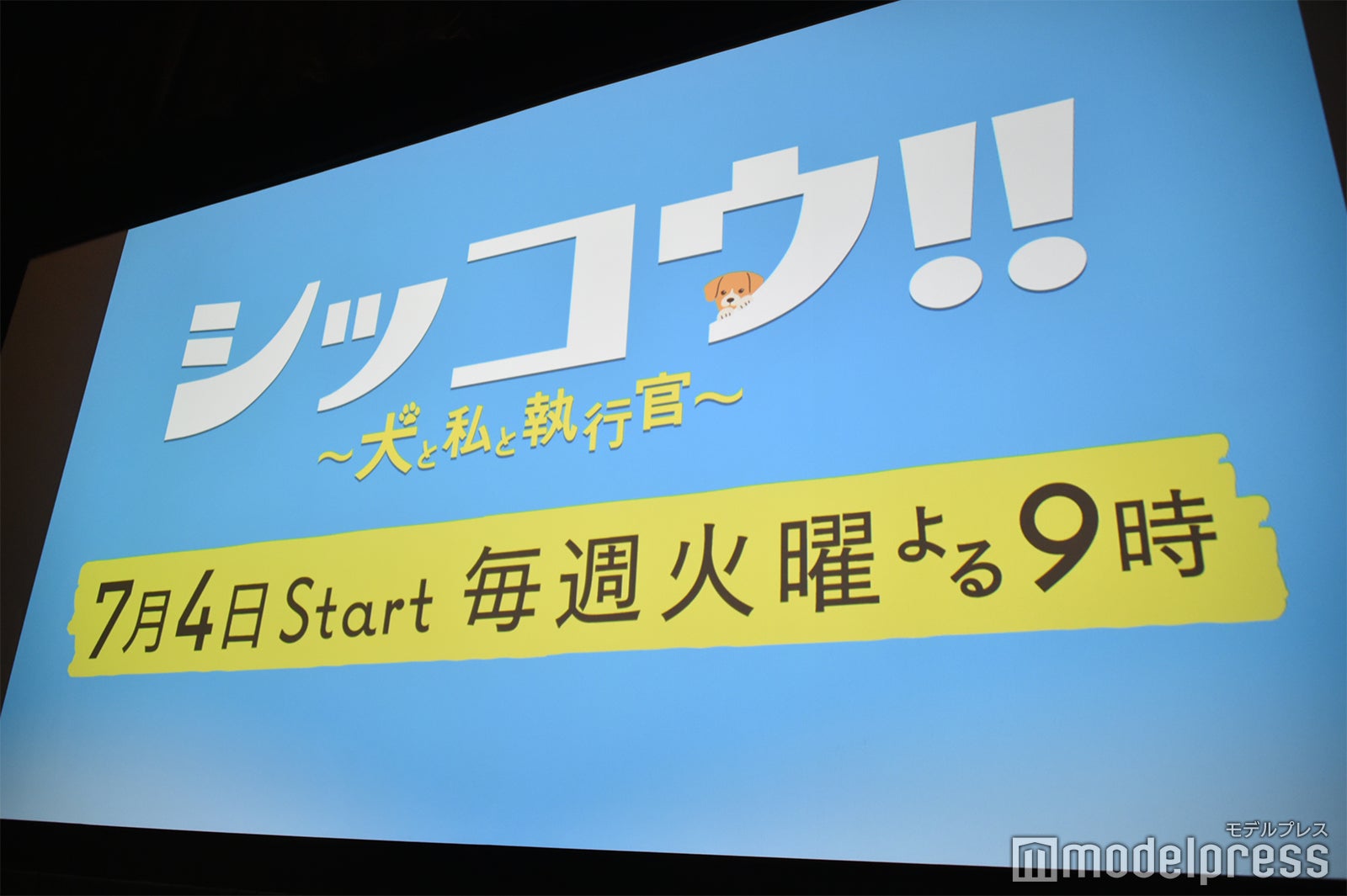 「シッコウ！！～犬と私と執行官～」（C）モデルプレス